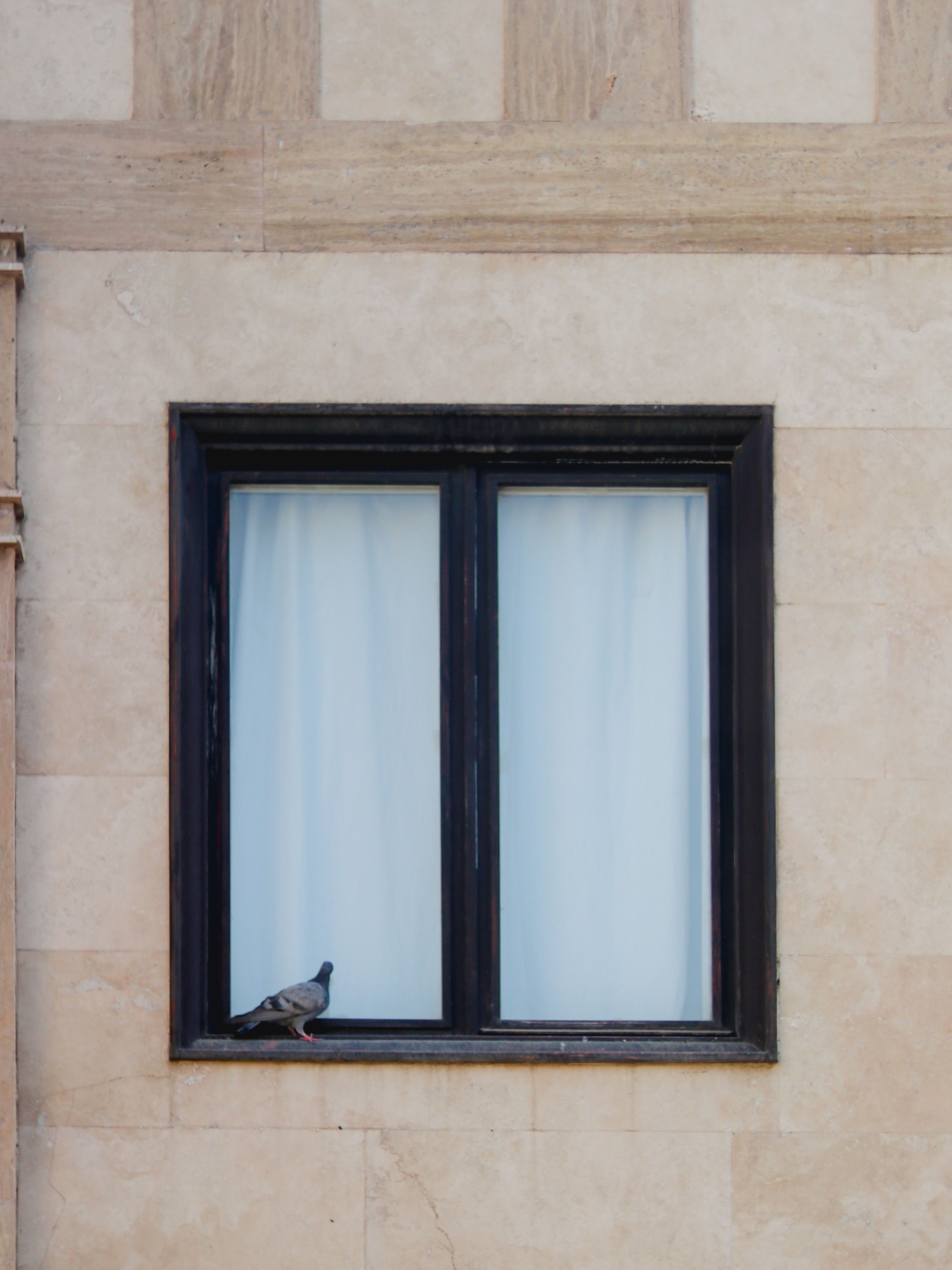 Window sill detail